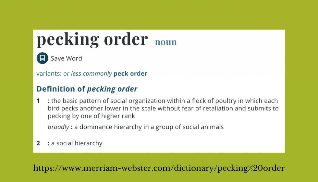 Definition of pecking order from Merriam-Webster.com