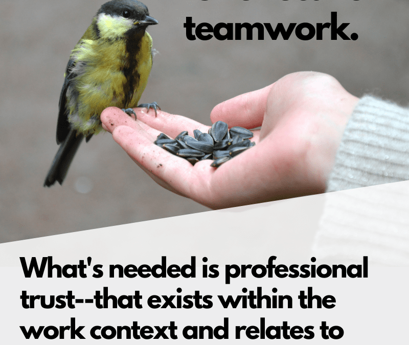 3 Elements of Professional Trust